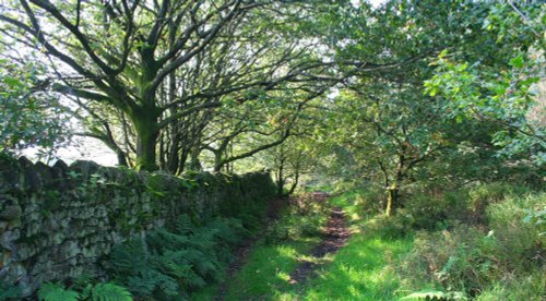 Longridge Fell