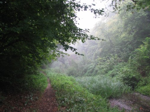 Toll path, Basingstoke Canal