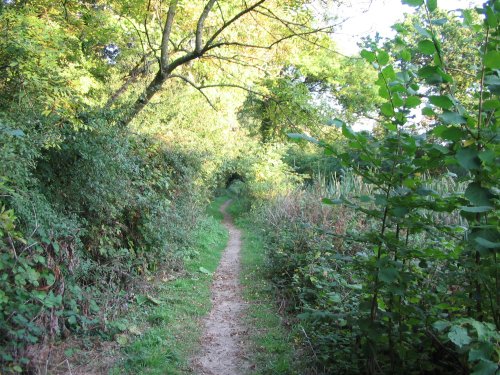 Tow Path, Basingstoke Canal