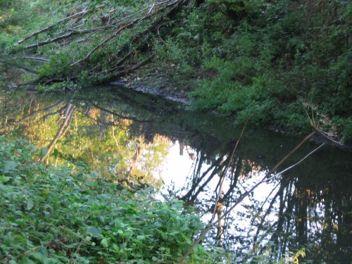 Basingstoke Canal