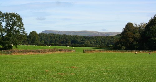 Pendle Hill