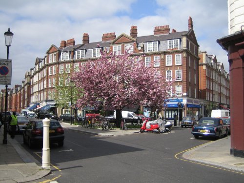 Springtime on Chelsea Common.