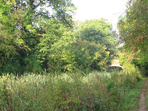 Basingstoke Canal, Up Nately