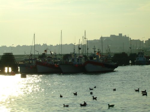 Late afternoon sun in the harbour