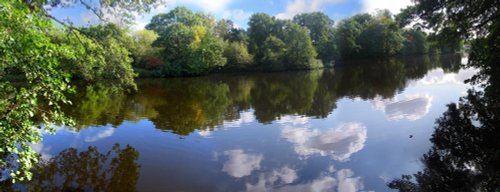 Penns Hall Lake, Walmley