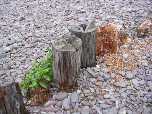 At Porlock Weir