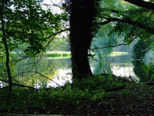 North Cave pond