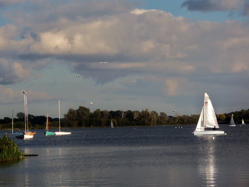 Whitlingham Lake