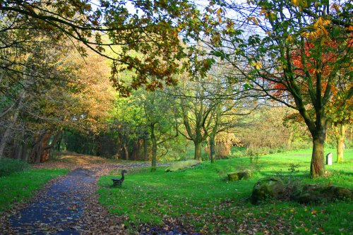 Autumn in the Park