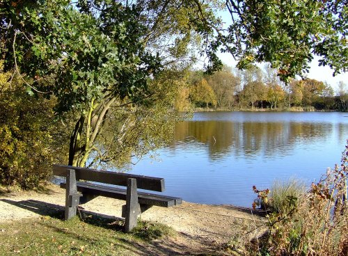 Another view of the pond