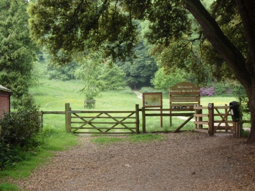 Rectory Wood and Field