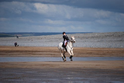 Galloping horse