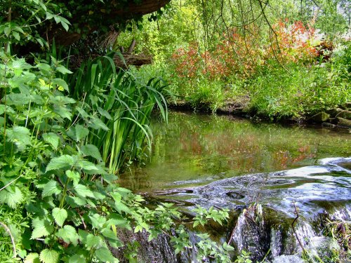 The beck at Hotham