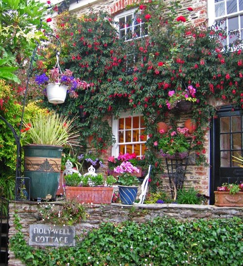 Cottage Garden in St.Mawes, Cornwall