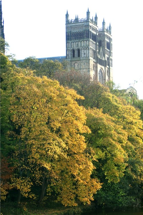 Autumn colours along the riverside.