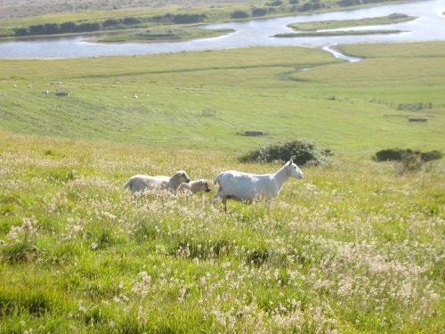 The Seven Sisters, a relaxing view