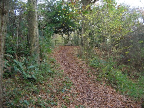 Around Basingstoke Canal - Up Nately