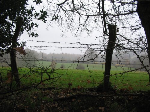 Around Silchester (in the rain)