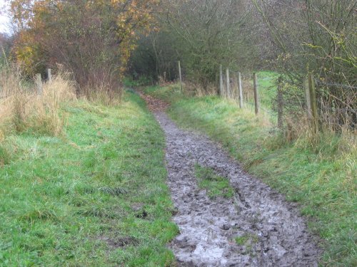 Around Silchester - even more mud