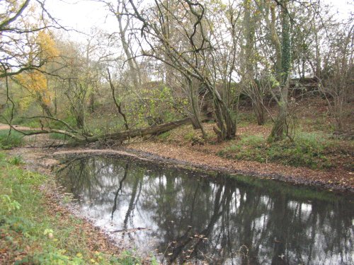 Basingstoke Canal