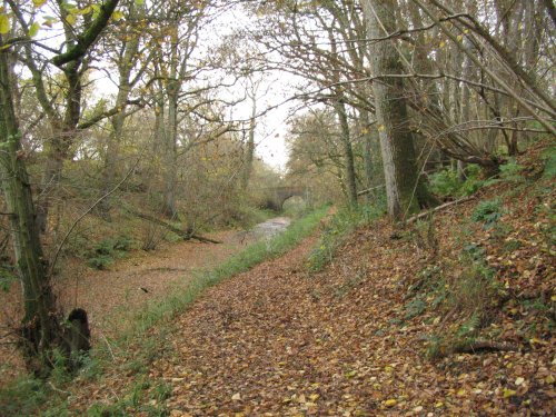 Basingstoke Canal