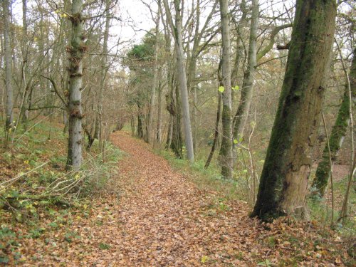 Towpath Basingstoke Canal