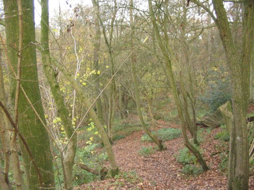 Path leading away from Basingstoke Canal