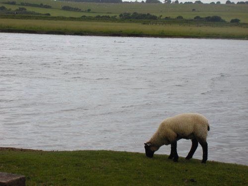 Nice scene near The Seven Sisters