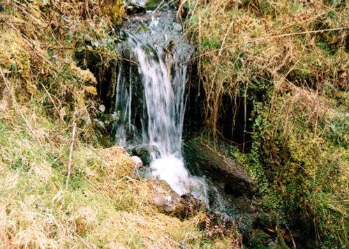 A walk through Mynydd Du Forest near Abergavenny