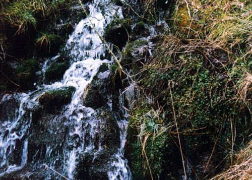 A walk through Mynydd Du Forest near Abergavenny