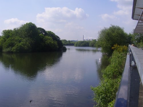 Attenborough Nature Reserve