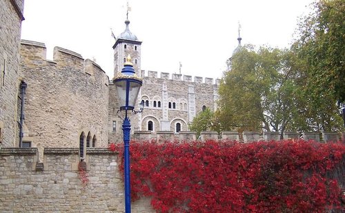 Tower in Flowers