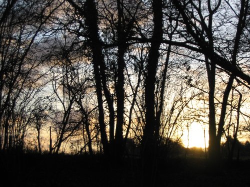 Around the Canal - Late Afternoon