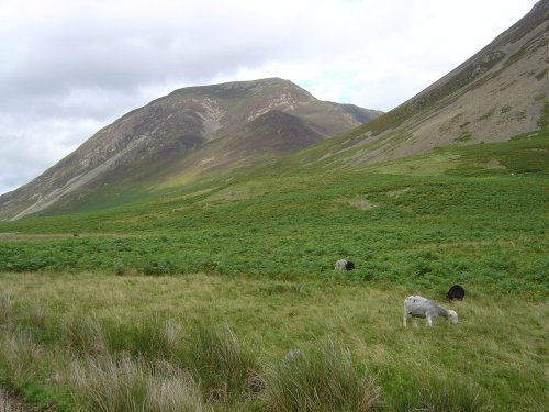 Near Buttermere