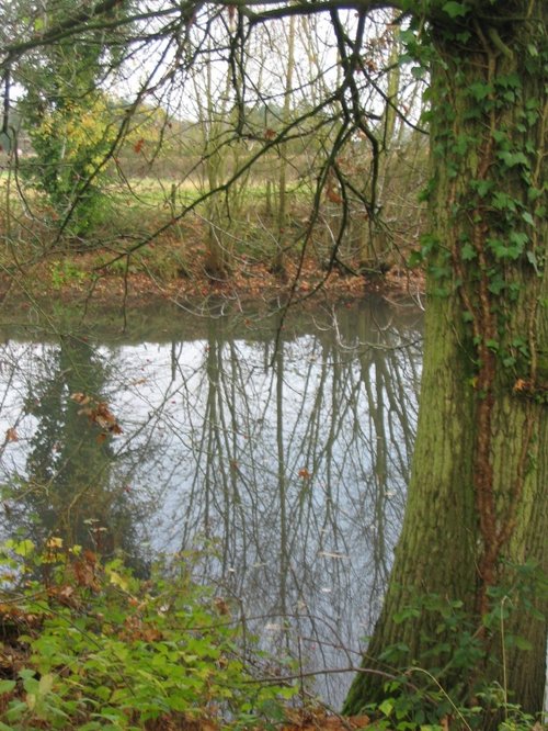 Along the Canal