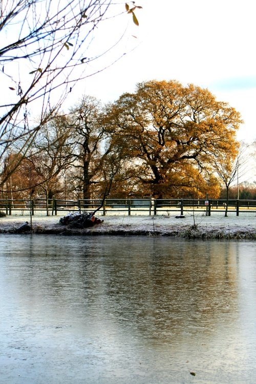 The ice covered lake at Nidd.