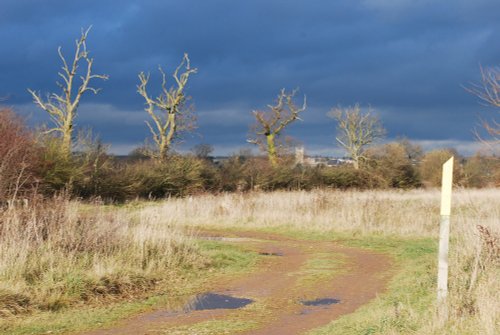 Approaching Storm