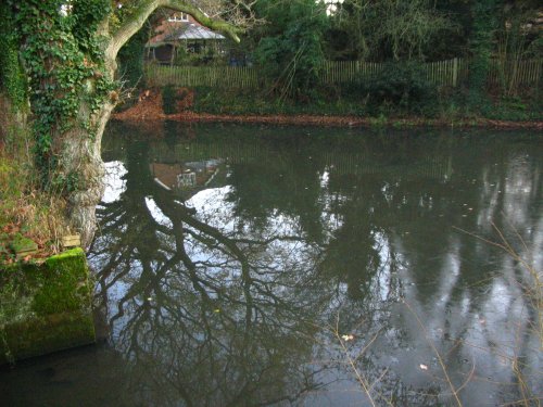 Basingstoke Canal, Up Nately - reflections and Ice