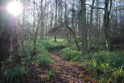 Grafham Water Nature Reserve