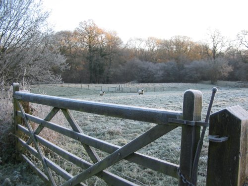 Early morning frost - 7.12.08