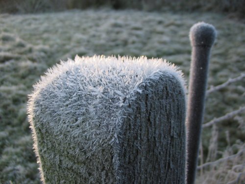 Early morning frost - 7.12.08