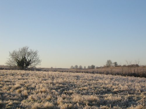 Early morning frost - 7.12.08