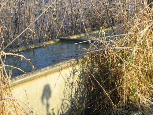 Frosted water trough