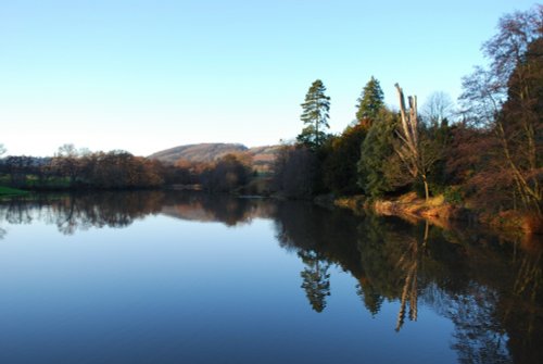 Witley Lake