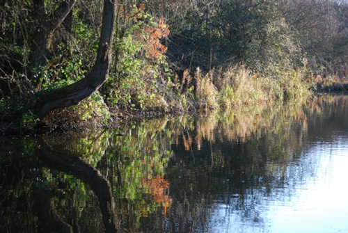 The canal at Netherton