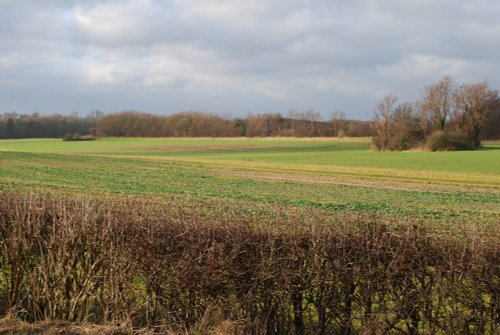 Land near Burton on the Wolds