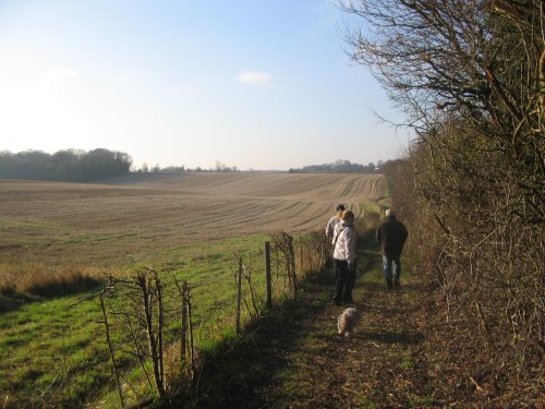 Walking around South Warnborough