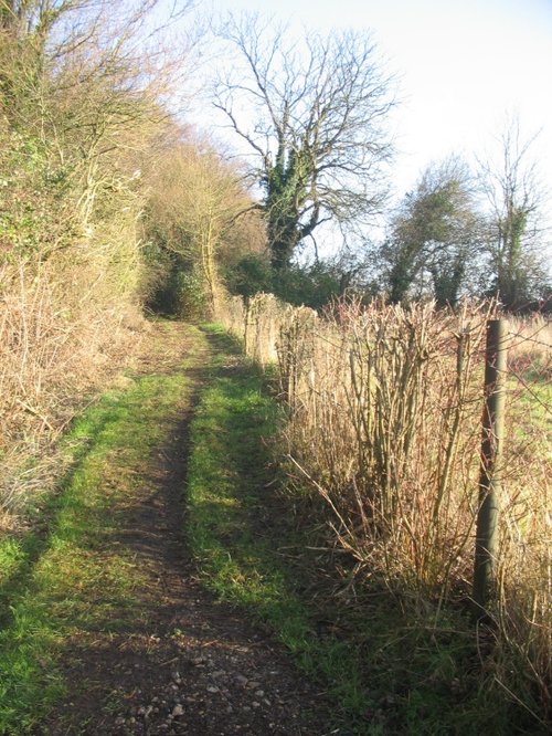 Walking around South Warnborough