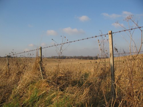 Walking around South Warnborough