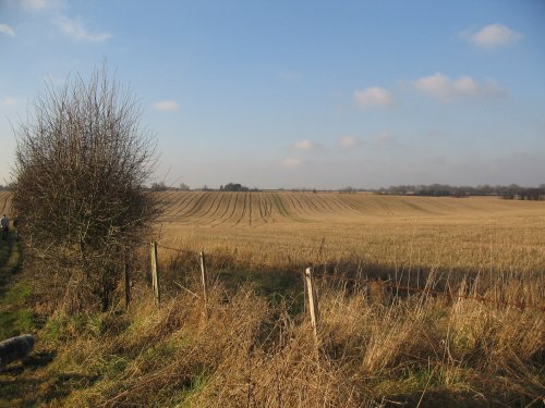 Walking around South Warnborough